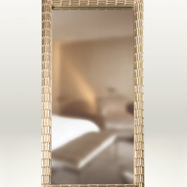 Deneuve Mirror