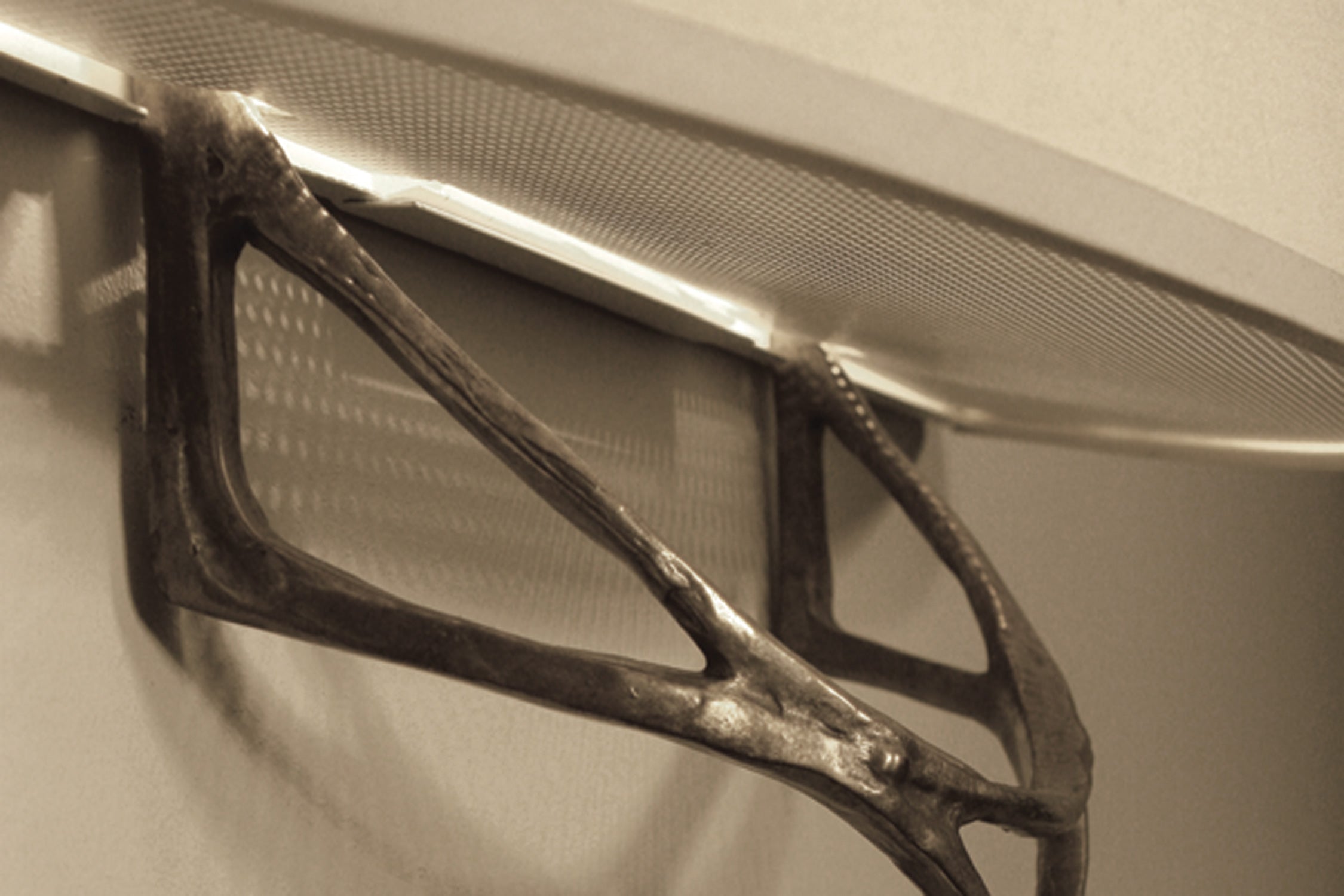 Colette Sconce