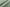 OPTIC PAPER EDGE