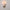 files/JB_Aluette_Sconce-01.jpg