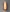 Dessay Sconce
