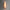 Dessay Sconce