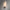 Platiere Sconce