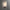 Platiere Sconce