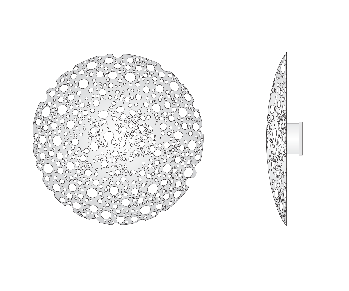Shield Sconce