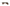 LUST