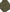 FRAGMENT