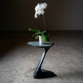 PALM | W Stone