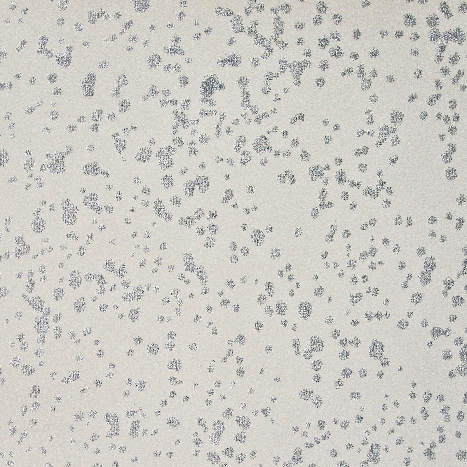 2572 Morning Sky Silver