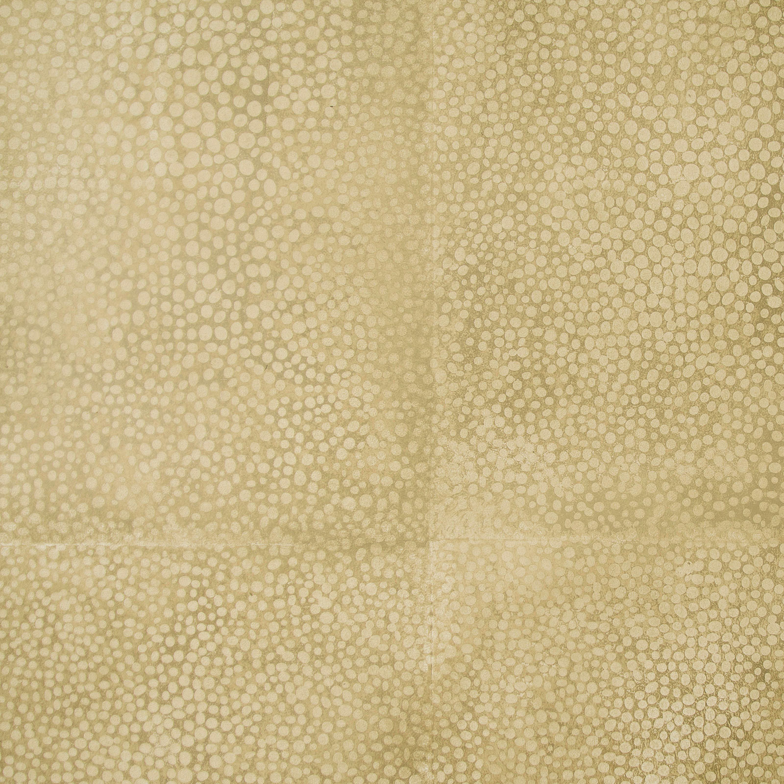 1306 Sand Dollar